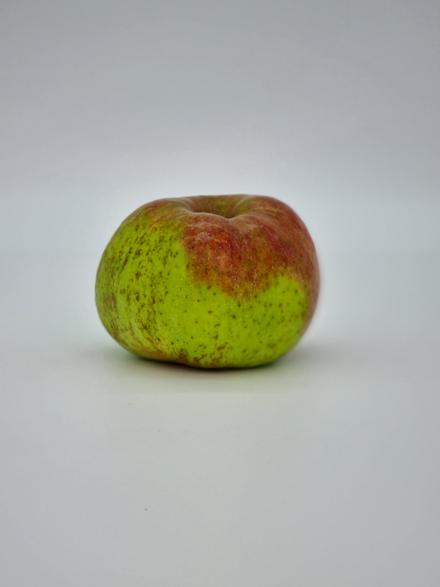 Pommier Joseph Musch Certifruit Les Serres de Sauvenière