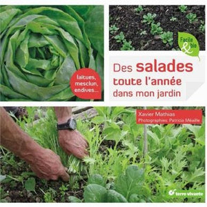 Des salades toute l'année dans mon jardin