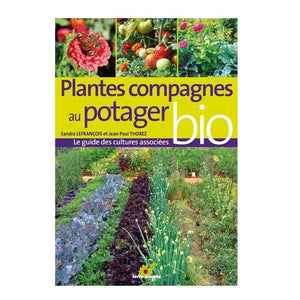 Plantes compagnes au potager Bio