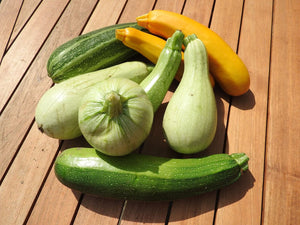 Courgette (Cucurbita pepo), courgettes en mélange