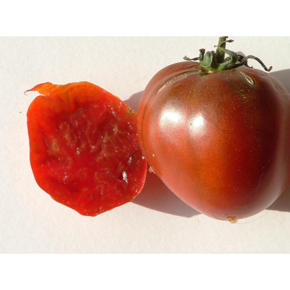 Tomate de couleur (mi-saison) black Prince