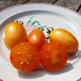 Tomate de couleur (mi-saison) blush
