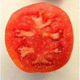 Tomate de couleur (mi-saison) grosse des Marais