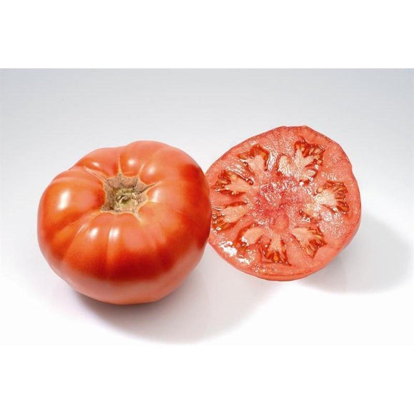 Tomate rouge (mi-saison) marmande