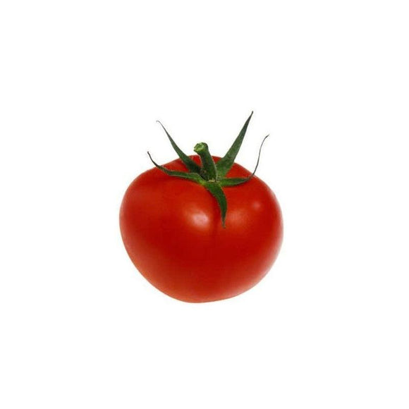 Tomate rouge (précoce)  monda