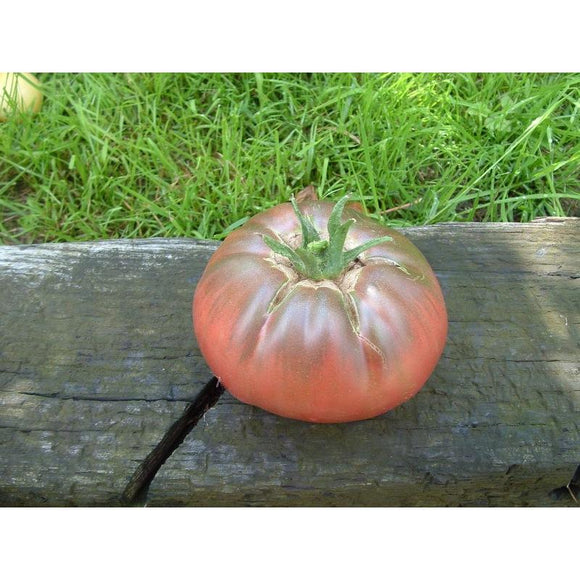 Tomate de couleur (mi-saison) noire de Crimée
