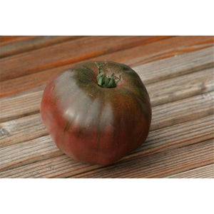 Tomate de couleur (mi-saison) noire Russe Charbonneuse