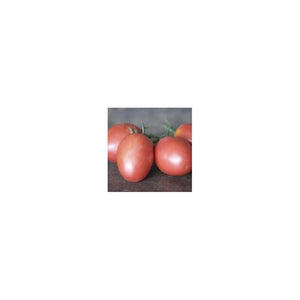 Tomate de couleur (précoce) olirose de Saint-Domingue