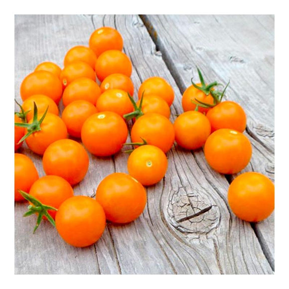 Tomate cerise orangette