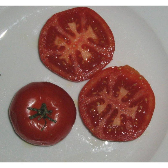 Tomate Belge Potager de Vilvorde