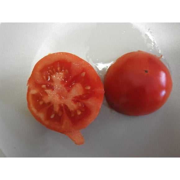 Tomate Belge reine des Hâtives