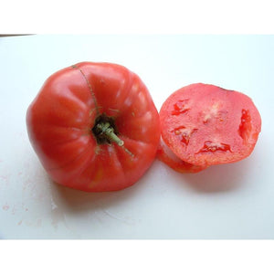 Tomate de couleur (mi-saison) rose de Berne