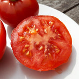 Tomate rouge (mi-saison) gloire de Malines