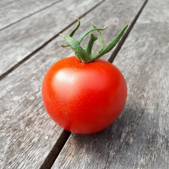 Tomate rouge (mi-saison) joffre
