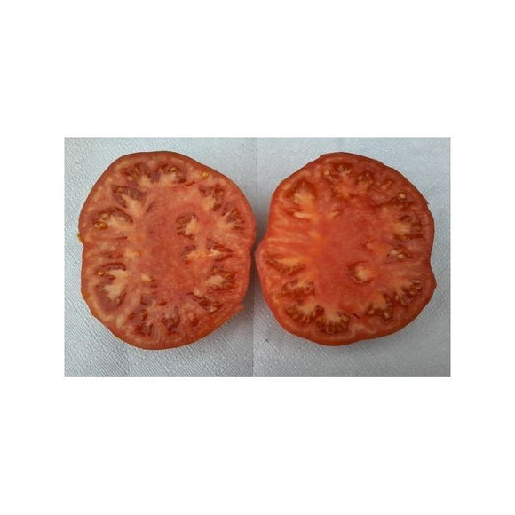 Tomate rouge (mi-saison) suzy