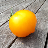 Tomate de couleur (mi-saison) téton de Wépion
